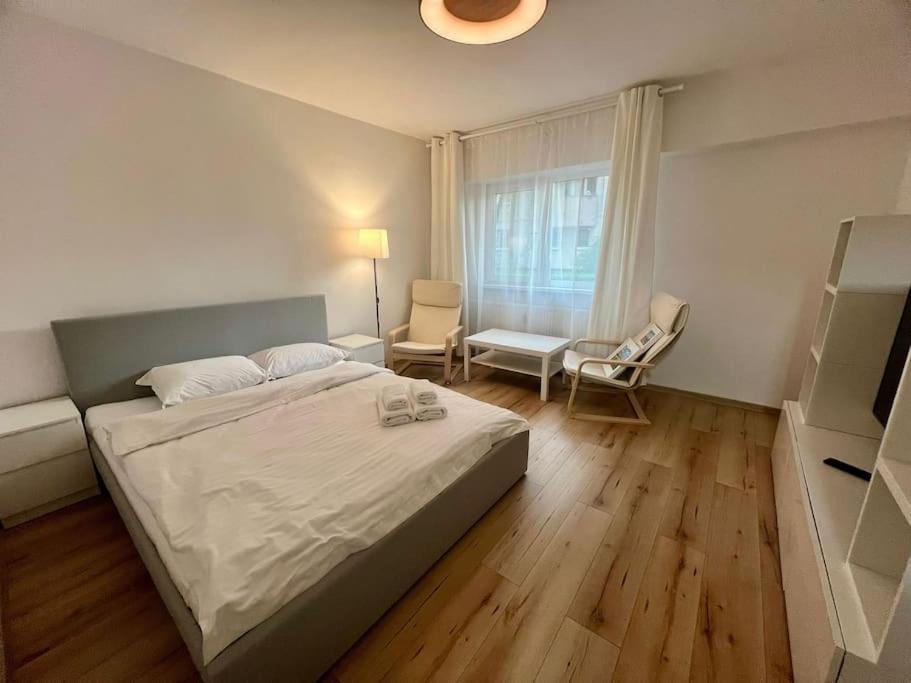 Cipariu Corner Lägenhet Cluj-Napoca Exteriör bild